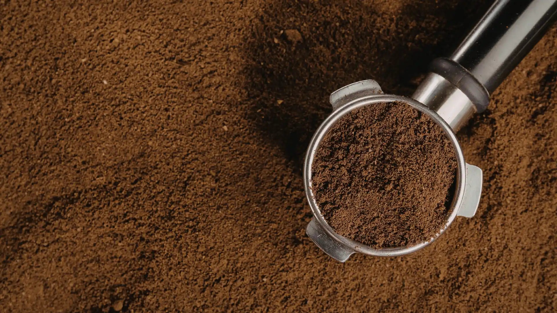 Gemahlene Kaffeebohnen im Siebträger 