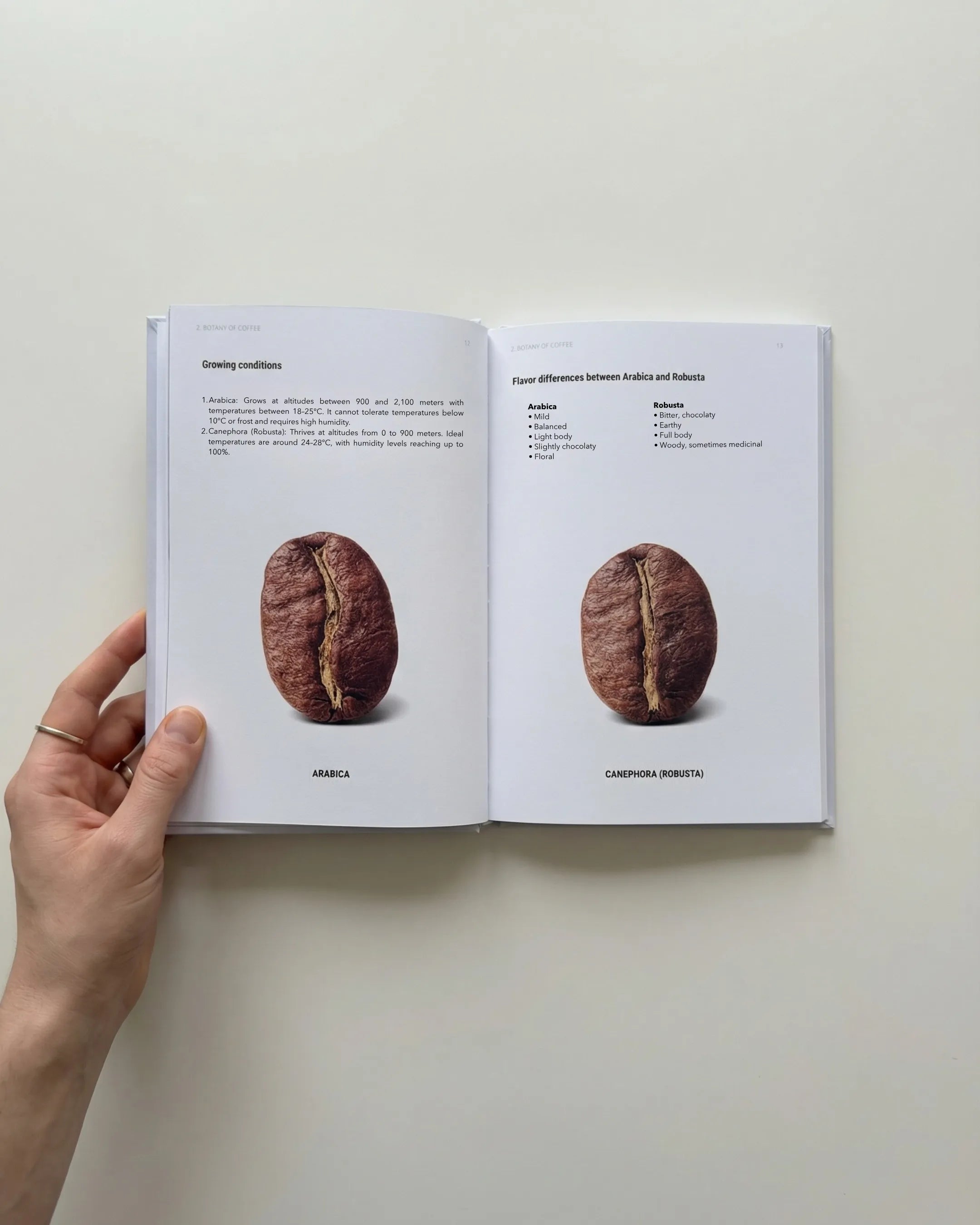 Barista Training Manual – Coffee Handbook for Coffee Lovers (DE/EN)